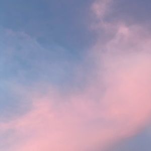 Meet your Posher, Johanna